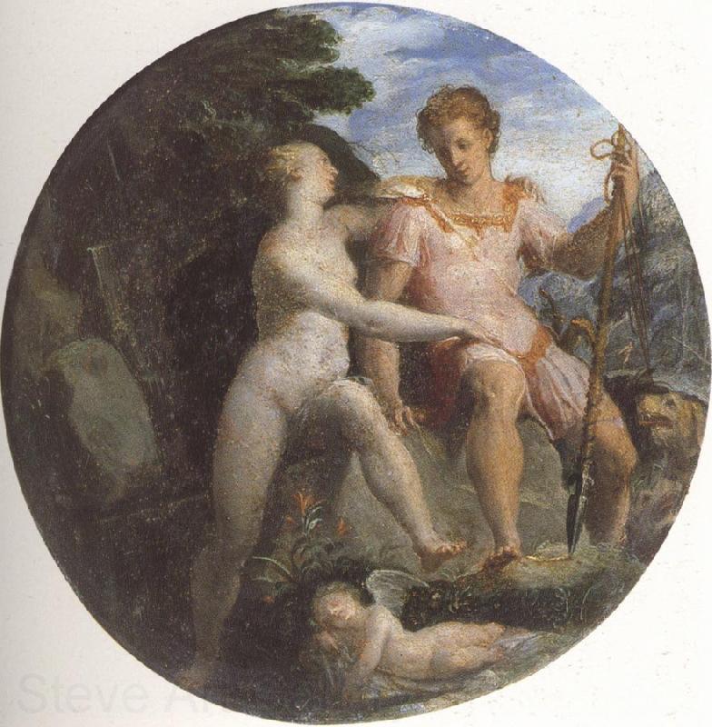 Girolamo Macchietti Venus and Adonis Spain oil painting art
